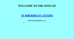 Desktop Screenshot of numberrico.cci.net.au