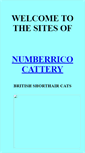 Mobile Screenshot of numberrico.cci.net.au