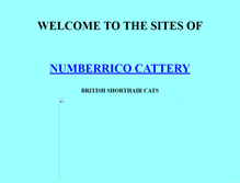 Tablet Screenshot of numberrico.cci.net.au